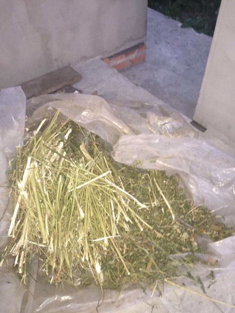 Фото ГУ НП в Киевской области