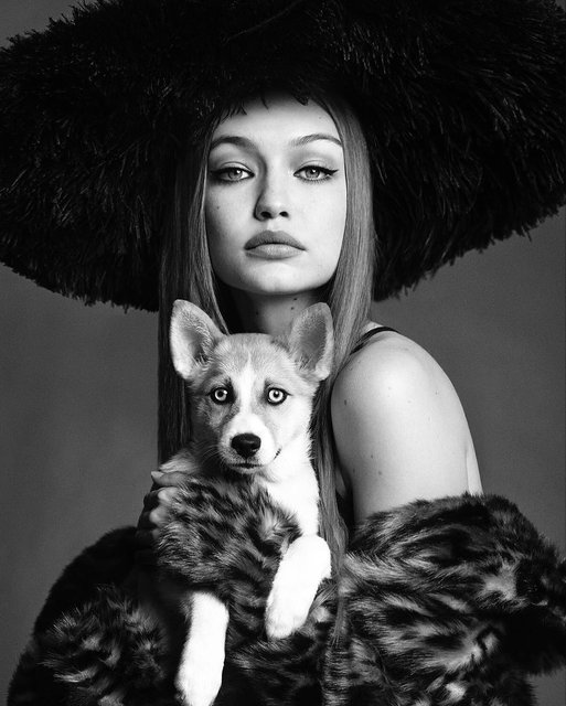 Джиджи Хадид снялась для японского Vogue. Фото: instagram.com/gigihadid