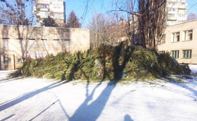 Елки утилизировали. Фото: facebook.com/andreev.solomianka