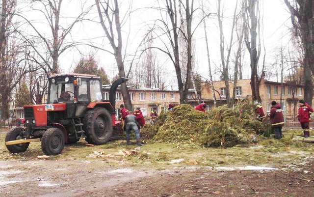 Елки утилизировали. Фото: facebook.com/andreev.solomianka